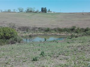 11.7 ha Farm in Camperdown