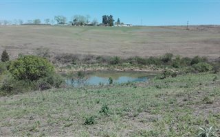 11.7 ha Farm in Camperdown