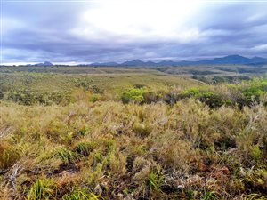 300 m² Land available in Gondwana Game Reserve