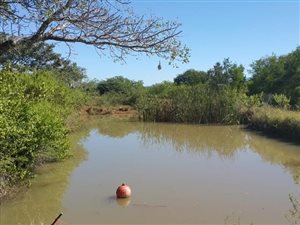 21 ha Farm in Eshowe