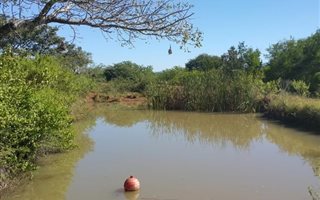 21 ha Farm in Eshowe
