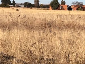 5.2 ha Land available in Bloemfontein