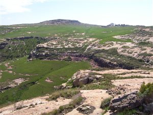 679 ha Farm in Kestell