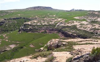 679 ha Farm in Kestell