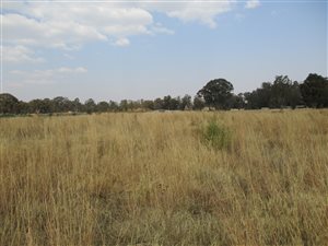 3.2 ha Land available in Walkers Fruit Farms