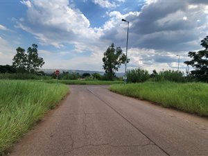 1008 m² Land available in Lady Selborne