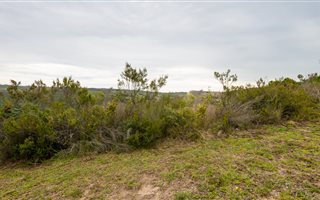 1693 m² Land available in Brackenridge