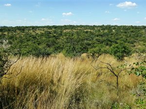 24.7 ha Farm in Lynnwood
