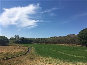 940 ha Farm in Lichtenburg