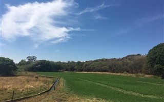 940 ha Farm in Lichtenburg