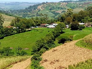 8 ha Smallholding in Port Shepstone