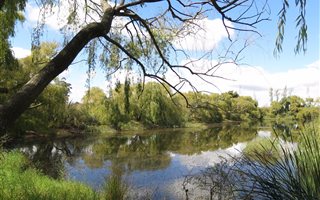 19.7 ha Farm in Elgin