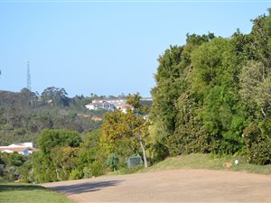 1501 m² Land available in Schoongezicht
