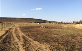 1.4 ha Land available in Witbank Central