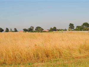 992 m² Land available in Riversdale