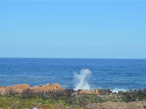 2218 m² Land available in Bettys Bay