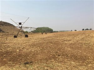 668 ha Farm in Bronkhorstspruit