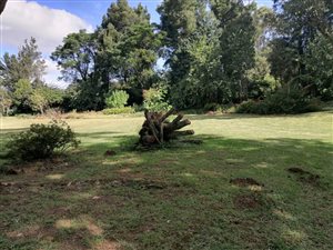 5203 m² Land available in Greytown