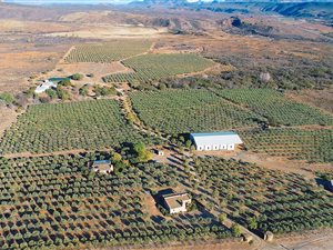 22 ha Farm in Barrydale