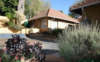 1 Bedroom Apartment in Elton Hill