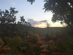 3 Bed House in Zwartkloof Private Game Reserve