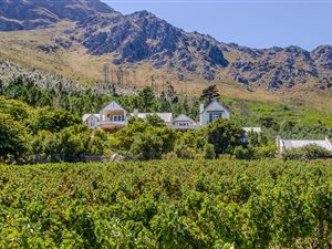 24.9 ha Farm in Franschhoek
