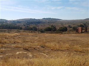 839 m² Land available in Wild Olive Estate