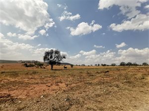 6.7 ha Land available in Honingklip AH