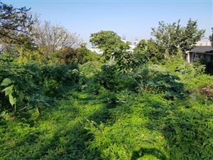 2247 m² Land available in Beverley Hills