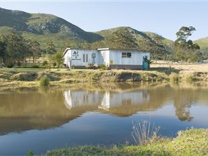 22 ha Farm in Port Elizabeth Central