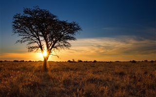 4047 m² Land available in Bathurst and Surrounds