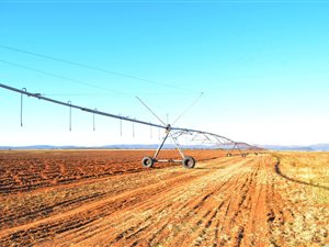 504 ha Farm in Alma