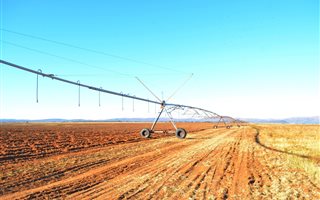 504 ha Farm in Alma