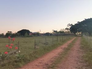 12.4 ha Farm in Rocklands