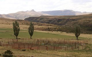 2170 ha Farm in Lady Grey