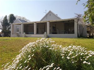275 ha Farm in Dannhauser
