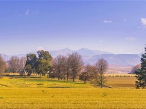 5.9 ha Smallholding in Himeville