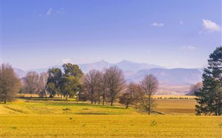 5.9 ha Smallholding in Himeville