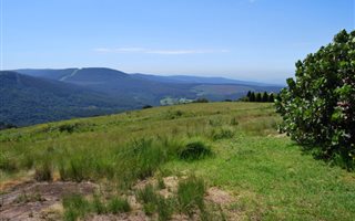 8.1 ha Farm in Byrne Valley