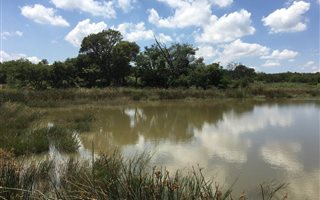 8 ha Land available in Klipkop