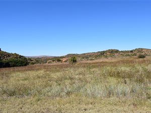 1235 m² Land available in Overkruin