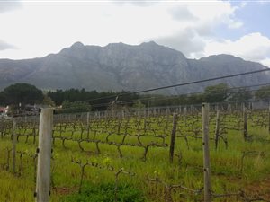 904 m² Land available in Paradyskloof