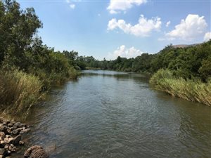 50 ha Farm in Bronkhorstspruit