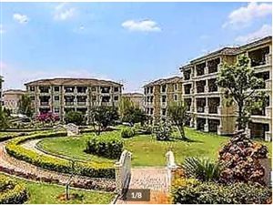 1 Bed Apartment in Noordwyk