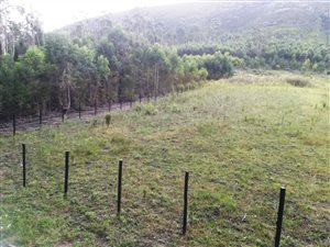 4431 m² Farm in Van Stadens