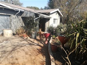 2500 m² Farm in Daleside