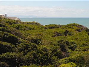 2 Bed Apartment in St Francis Bay