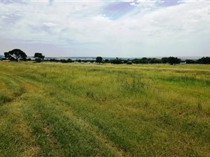 51 ha Farm in Kungwini Country Estate