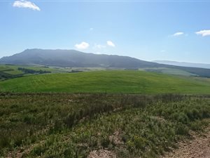 43 ha Farm in Tesselaarsdal