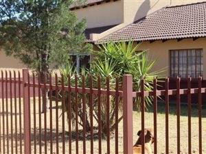Farm in Leeuwfontein